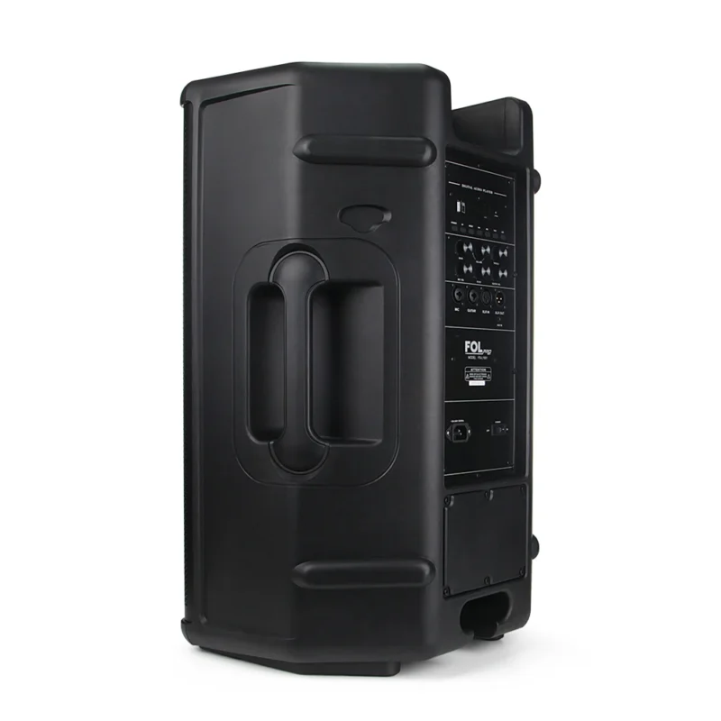 FS-L1501 BAFLE TWS, 2 MICRÓFONOS, 220 WATTS, XLR IN/OUT, GUITARRA Y MICRO IN, CON LUZ